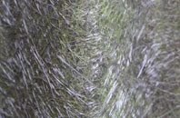 Westoning fibreglass roof work